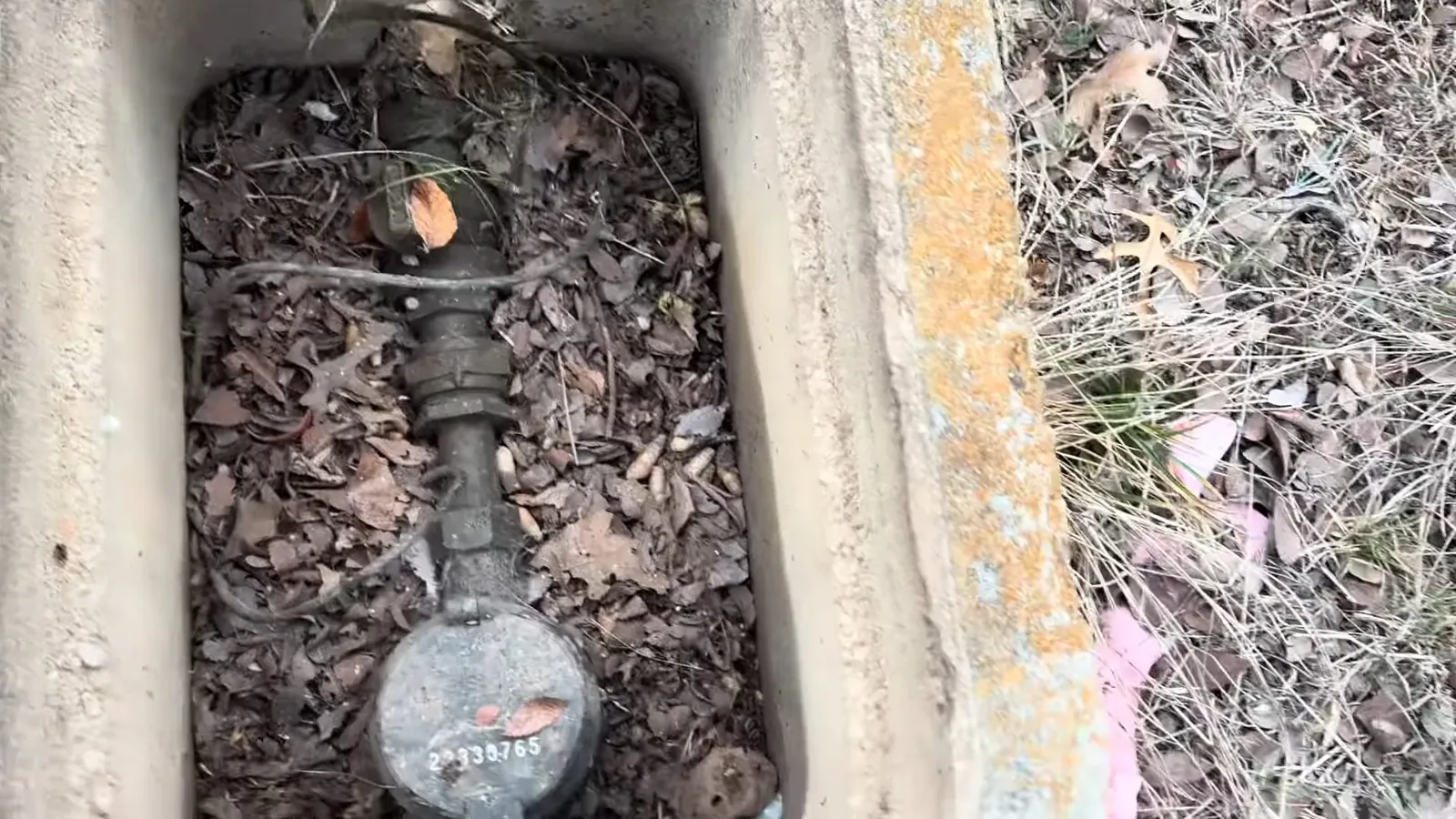 Water meter sitting in a concrete ground box with dry leaves around it